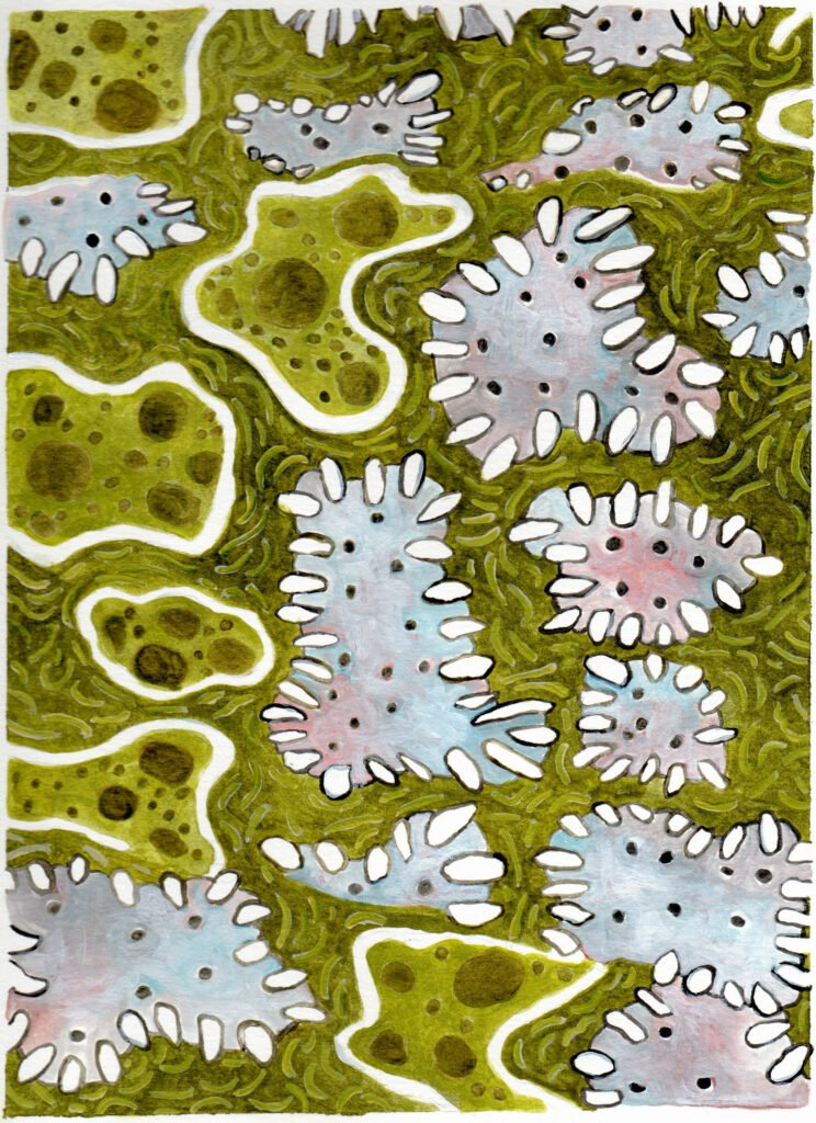 Vintage Amoeba: painting by Janice Eirich